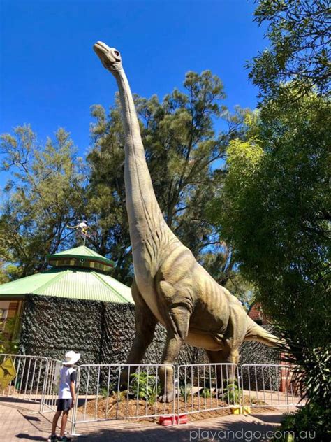 See Life Sized Dinosaurs And Gigantic Bugs At The Adelaide Zoo Review