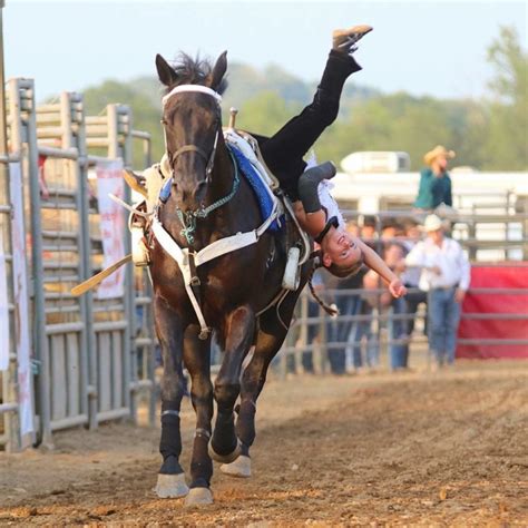 Seven Year Old Trick Rider To Perform News Sports Jobs The Times