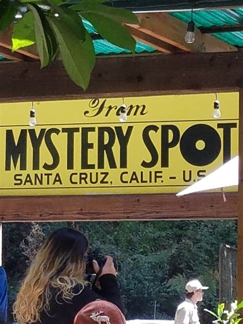 Mystery Spot - Santa Cruz, CA - Kid friendly activity reviews - Trekaroo