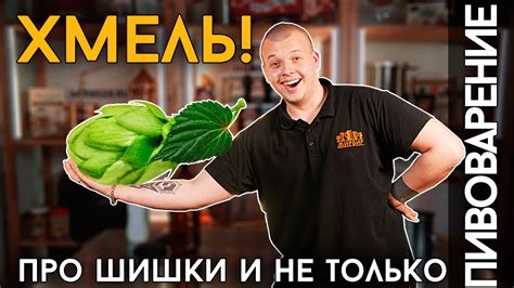 ПИВОВАРАМ ПРО ХМЕЛЬ | Что нужно знать о пивоваренном хмеле - YouTube