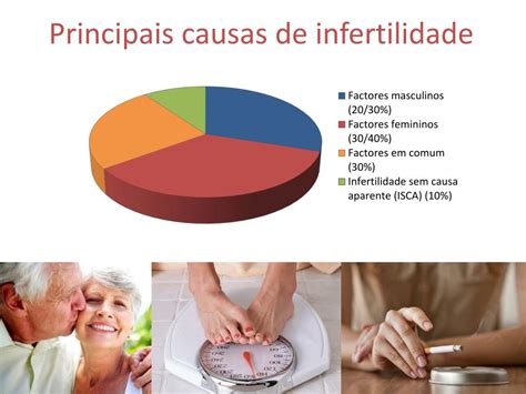 Ppt Infertilidade Humana E Reprodu O Medicamente Assistida