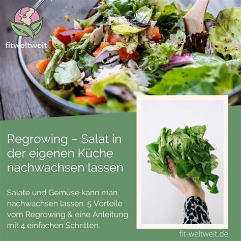 Gesund Naschen Snacks Abends Gesund Naschen Ohne Zuzunehmen