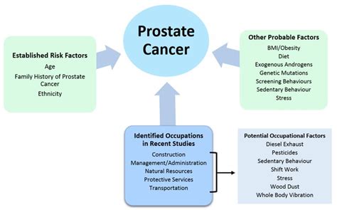 Occupation Related To Prostate Cancer Risk In Canadian Men Cancer