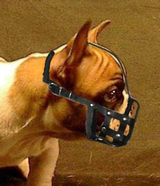 Leather Dog Muzzle for French Bulldog - Small Leather Dog Muzzle [M41##1040 French bulldog Small ...