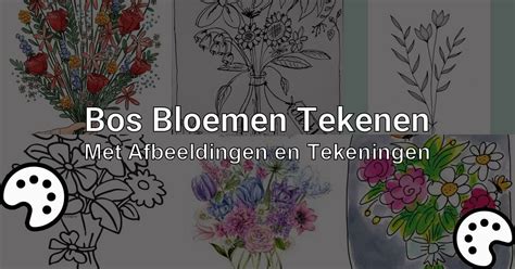 Tekenen Bloemen Met Afbeeldingen En Tekeningen Tekenen Nu