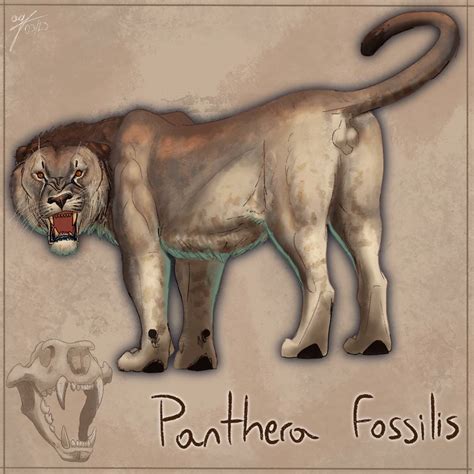 Panthera Fossilis The Giant Cave Lion By Allotyrannosaurus On Deviantart