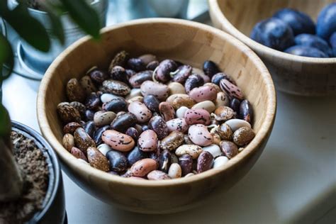 Top 3 Protein Rich Beans Complementary Food