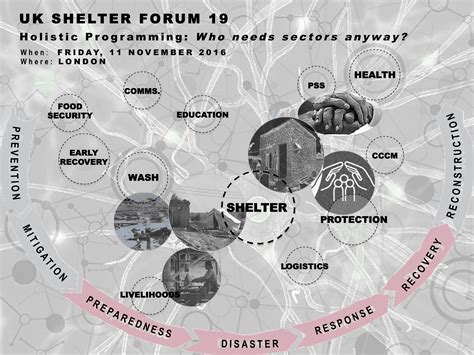 Future shelter programs will offer more free cat opportunities 23