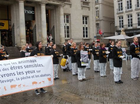 Hypathie Blog F Ministe Et Anti Sp Ciste Op Ration Mouvante Nantes