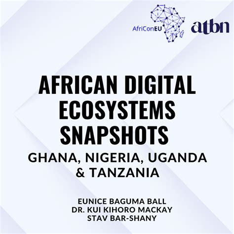 African Digital Ecosystems Snapshots Africa Technology Business Network