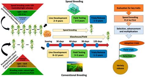 Speed Breeding For Crop Improvement And Food Security