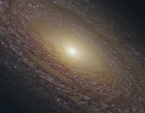 flocculent-spiral-galaxy-ngc-2841_42286991361_o – Galaxy Rise – Space ...