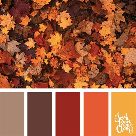 Color Palettes Inspired By The Pantone Fall Color Trends