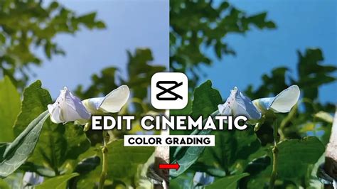 Tutorial Edit Cinematic Color Grading Di Capcut Capcut Tutorial