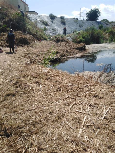 Lalumnat Del Taller Docupaci Et Formem En Lespecialitat Forestal