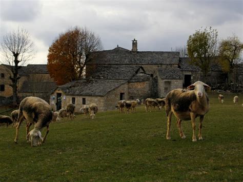 La Ferme Caussenarde Dautrefois Les Causses Et Les C Vennes