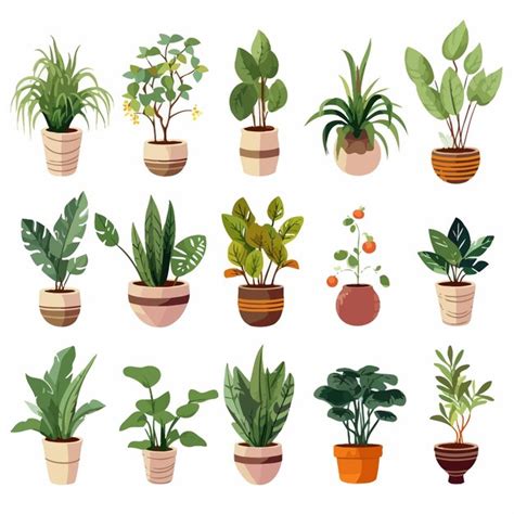 Premium Vector Houseplants Set Graphic Elements In Flat Design