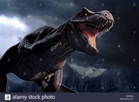 Tyrannosaurus Stock Photos And Tyrannosaurus Stock Images Alamy