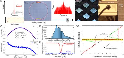 Principle Of Platicon Microcomb Generation Using Laser Self Injection