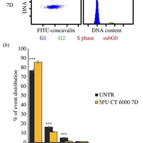 Cell Cycle Distribution Of Planarian Cells In X Ray Treated Specimens