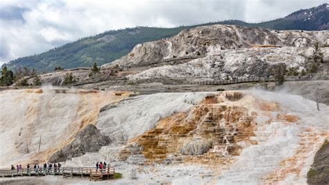 Yellowstone National Park To Reopen North Loop July 2 93 Of Roadways Will Be Open Moldy Chum