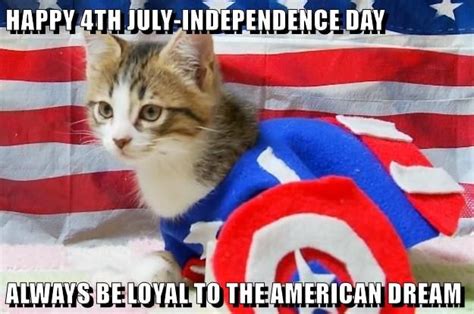 Happy 4th July Independence Day Funny Cat Memes Cat Memes Funny Cats