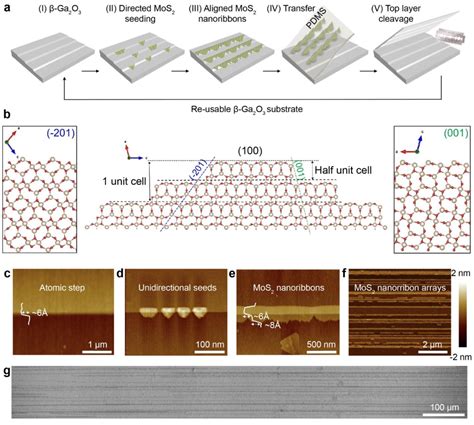 Fig 1 Lde Growth Of Wafer Scale Globally Aligned Monolayer Mos2