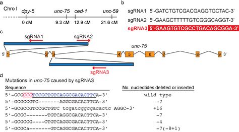 Rapid Marking Of Hard To Score Mutations By Crisprcas9 Mediated