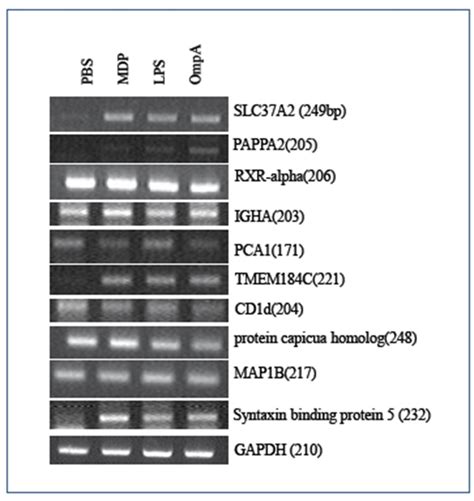 Journal Of Biomedical And Translational Research