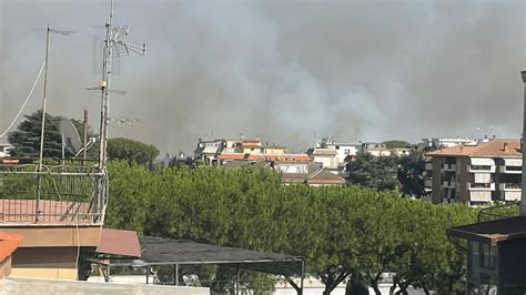 Incendi A Roma Brucia Il Parco Del Pineto Le Immagini