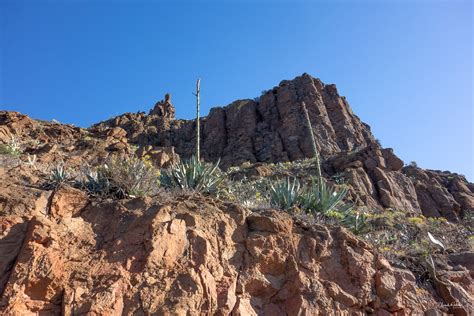 Ruta Fotogr Fica Altos De Temisas Ag Imes Primavera Gran Canaria