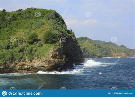 Clusters Of Beach Grass Or Sand Ryegrass Leymus Arenarius Growing On