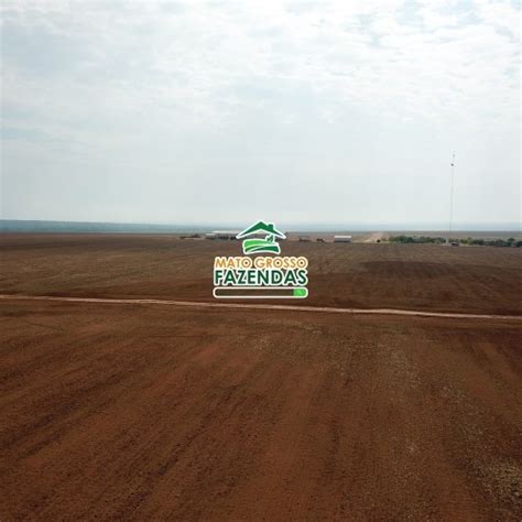 Mato Grosso Fazendas 5000 Hectares á venda na região de Canarana