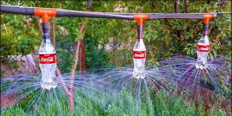 Les Plantes Comment Les Arroser Gratuitement Pendant Un Mois La