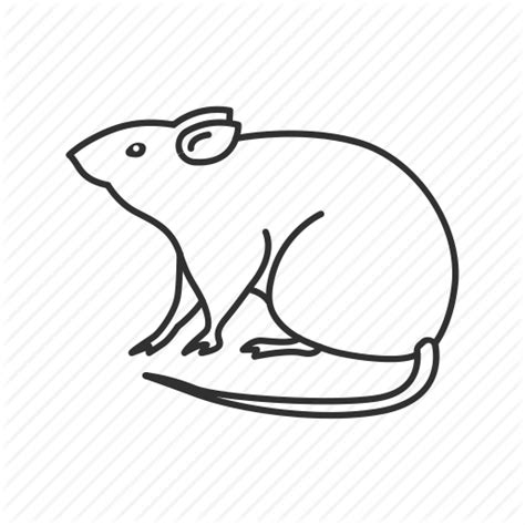 Rat Free Icon Library