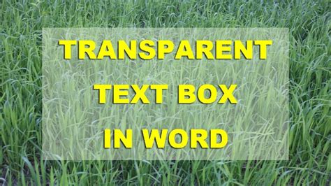 How To Create Transparent Text Box In Microsoft Word Youtube