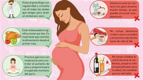 Los Grados De Madurez De La Placenta Vidaprenatalcenter