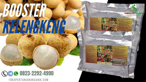 Aman Jual Booster Kelengkeng Cepat Buah Kanigoro