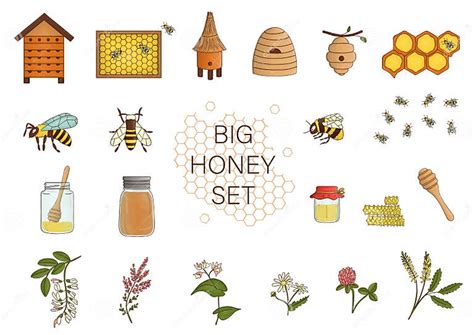 Vector Colored Set Of Honey Bee Bumblebee Beehive Wasp Apiary