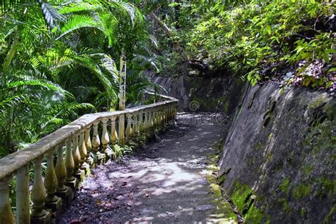 El Miro Ruins, Hiking Trail Views, Abandoned Mansion, Declared Biological Corridor, in the ...