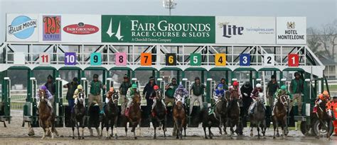 Looking for Sensational Effort in Rachel Alexandra at Fair Grounds - Horse Racing Reports and ...