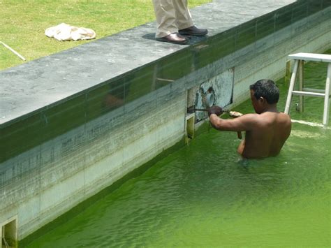 Swimming Pool Waterproofing Service At Rs Square Feet In Chennai