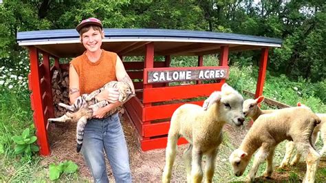 Three Acre Homestead Tour Grass Fed Lamb And Chickens On A Beginning