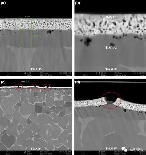 扫描电镜在钛合金表面镀层分析中的应用 知乎