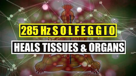 285 Hz Rapidly Heals Regenerates Tissues Healing Music Organs Are