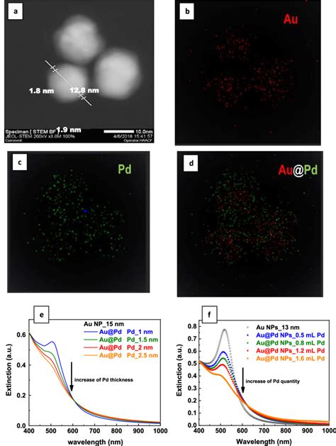 Tem And Optical Characterizations Of Au And Au Pd Np Solutions A