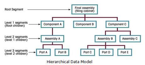 Hierarchical Data Model in DBMS