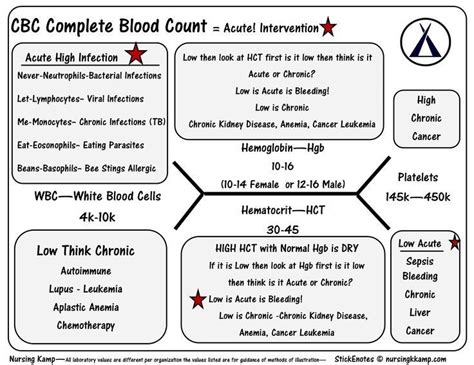 Neutrophils High Lymphocytes Low - HunterArchdall