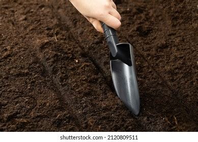 2,014 Seed bed preparation Images, Stock Photos & Vectors | Shutterstock