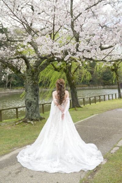 洋装の桜ロケーション撮影🌸 スタジオtvb 奈良店 前撮り・フォトウェディング